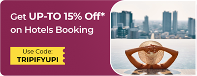 Zero Convenience Fee for Domestic Flight