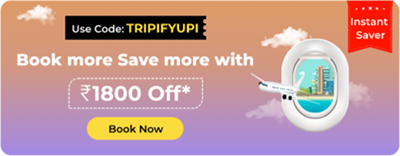 Zero Convenience Fee for International Flight