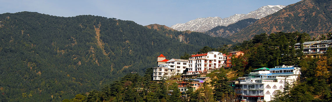 5-things-to-do-in-mcleodganj-2023-edition