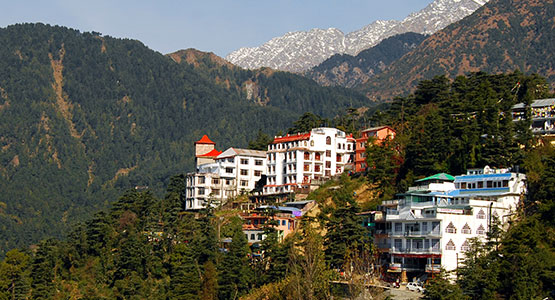 Top 5 things to do in McLeodganj during this summer: 2023 Edition