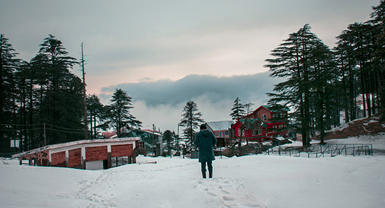 Patnitop, Jammu and Kashmir: Engage in sustainable travel