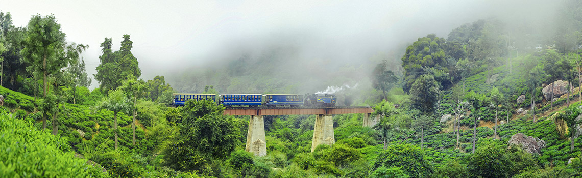 ooty-connoisseurs-heaven