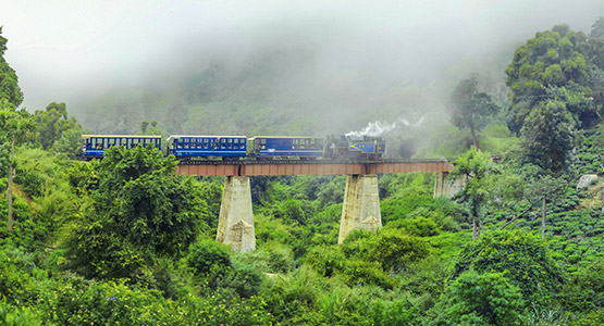 OOTY...Connoisseurs' heaven