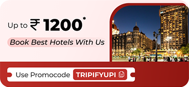 Book Best Hotels With Us