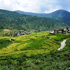 Natural Bhutan 
