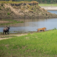 Magical Meghalaya with Splendid Kaziranga 