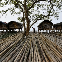 Splendors of Meghalaya and Assam